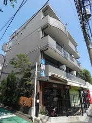ステラトーショウ