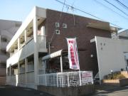 リーヴ・ルピナス
