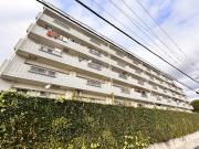 西武池袋・豊島線大泉学園駅までバス約13分 徒歩1分