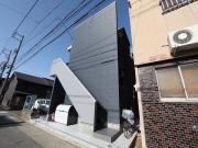 Monstera春敲