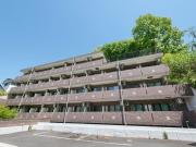 スターダスト晴貞