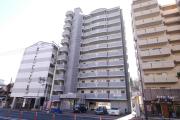 アヴィニールNo.5