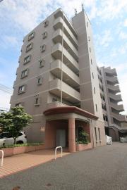 セレッソ竹原