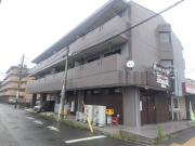 アビリティII弥生