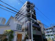 DIPS NIPPORI II