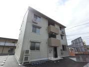 Coure 302