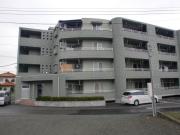 ヴィラ大国 No2