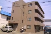 エクセランS25