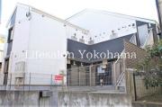 シャンティヒル白楽