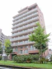 メープル北円山