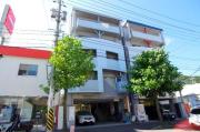 Y′z B.L.D緑井
