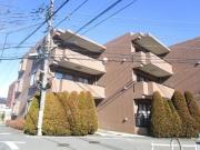 MODERNO モデルノ