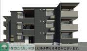 D Paina 生麦