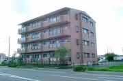 マンション槐