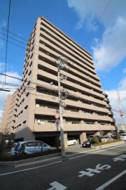 アルファステイツ野田II