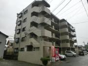 アルバトラモント古前