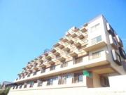 EFT牛田東