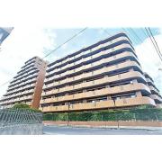 ネオハイツ並木II