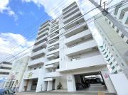 ＪＲ函館本線苗穂駅まで徒歩10分
