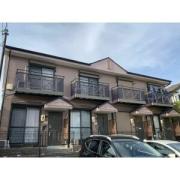 BrancheパインラトールB