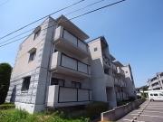井吹東シティコート