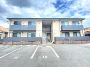 アイビー