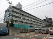 ウォーク羽衣