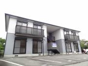 ディアスNAKAYAI