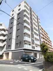 ドムール諏訪野