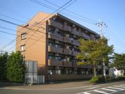 ＪＲ仙石線中野栄駅まで徒歩5分
