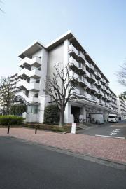 UR光が丘パークタウンゆりの木通り北