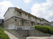 今村ハイエリーナ