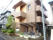 BRAIN′S Luck West