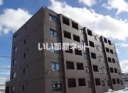 NEW PIAZZA西桔梗