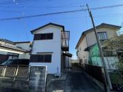 風と春色のルピシア