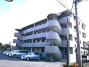 セルリア春日部 B