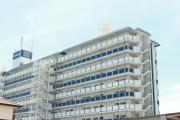 アーバン茜