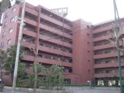 清川6番館