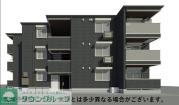 D Paina 生麦