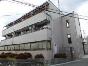ステラマンション