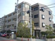 エクセレント白萩