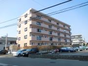 BelloPalazzoIII