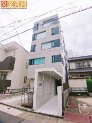 COZY菊井