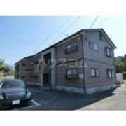 サンティールコスモス