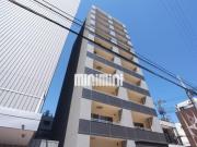 MAPLE ANEST SHINSAKAE