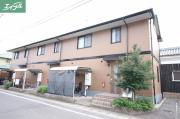 コージーコート