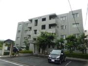 マロン・ドゥムール