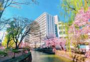 シティテラス前橋広瀬川