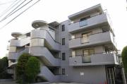 セザール長原