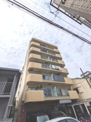 サンハイム星場